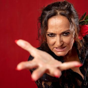 Flamenco Show Granada